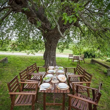 Farm stay Agriturismo Pulicaro *